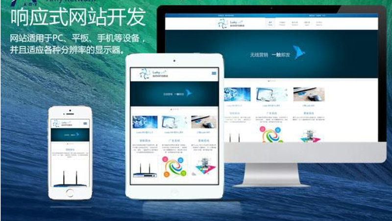 企业官网定制：选择专业团队还是DIY？
